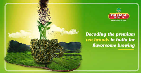 Decoding the premium tea brands in India for flavorsome brewing | Dalmia Gold